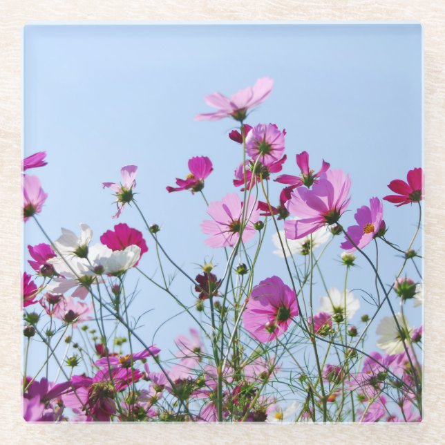 Pink and Purple Flower Meadow Photo Glass Coaster (Front)