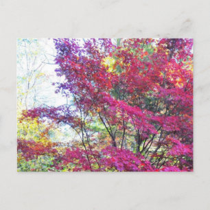 Pink And Purple Leaves Postcard