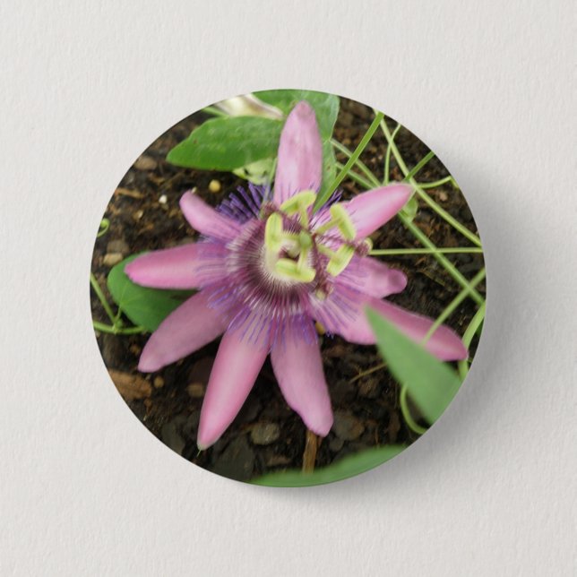 Pink and Purple Passionflower Button (Front)