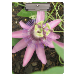 Pink and Purple Passionflower Clipboard