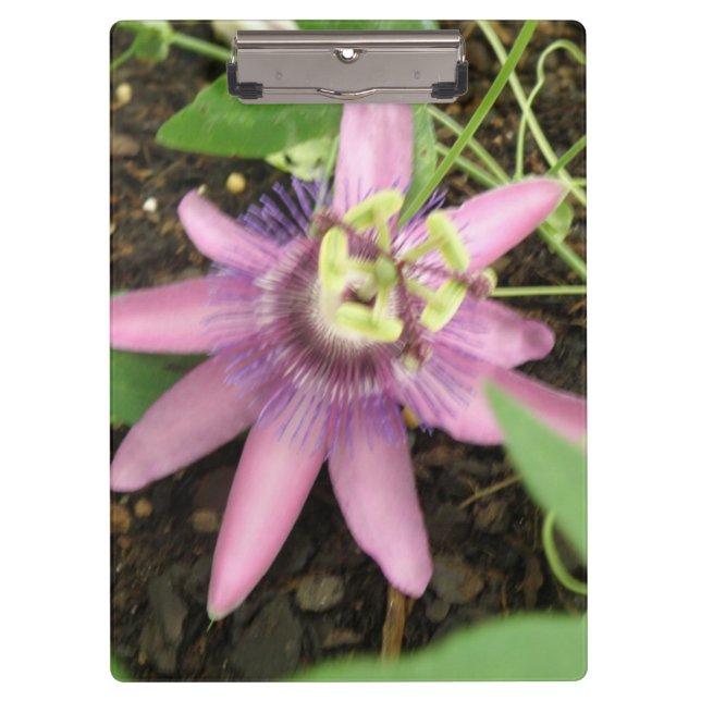 Pink and Purple Passionflower Clipboard (Front)