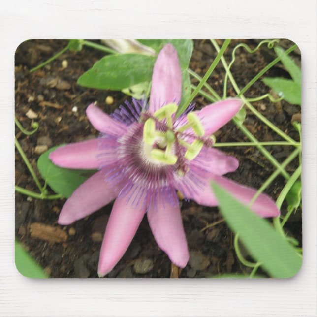 Pink and Purple Passionflower Mousepad (Front)