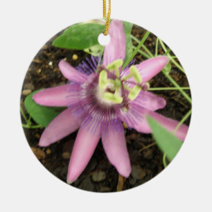 Pink and Purple Passionflower Ornaments