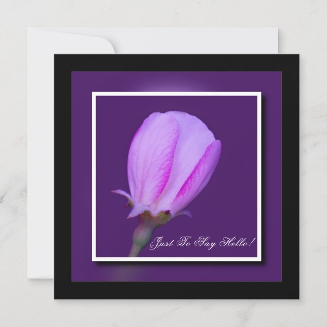 Pink and Purple Spring Blossom Hello Card (Front)