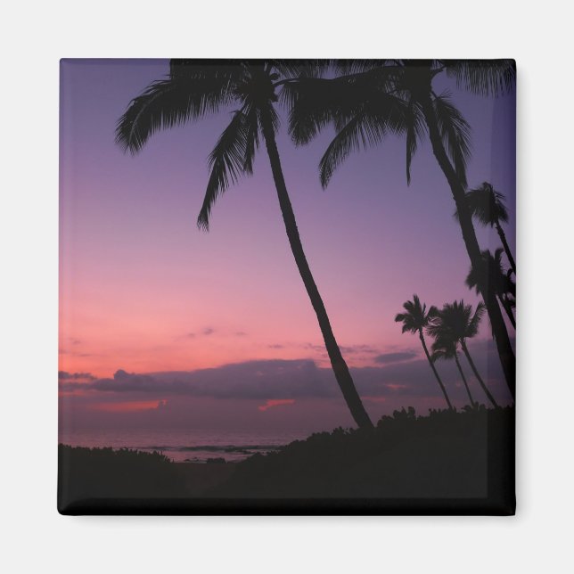 Pink and purple tropical sunset magnet (Front)