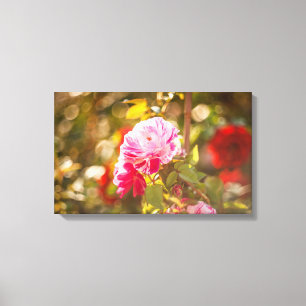 Pink and red roses canvas print