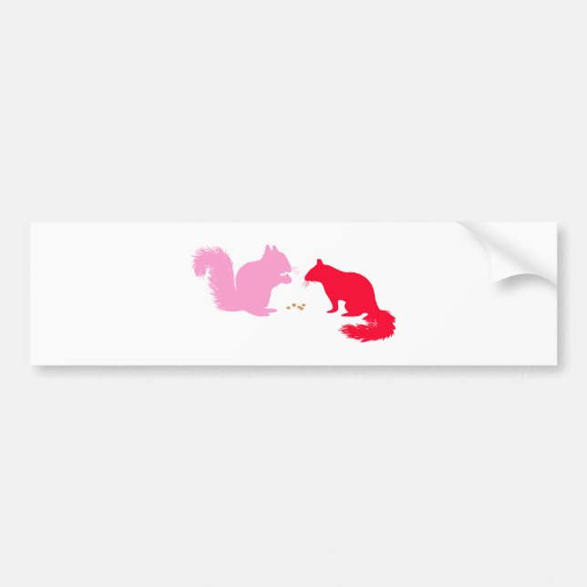 Pink and Red Squirrels Bumper Sticker (Front)