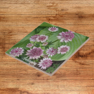 Pink and White Astrantia Floral Tile