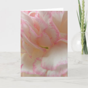 Pink and White Carnation Greeting Card