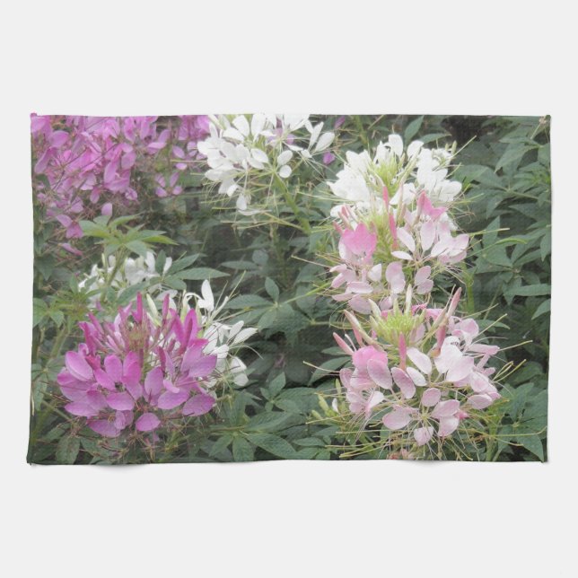 Pink and White Cleome Blooms Kitchen Towel (Horizontal)