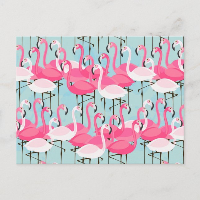 Pink And White Crowd Of Flamingos Postcard (Front)