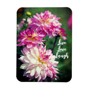 Pink and White Dahlia flower Motivational Magnet
