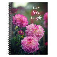 Pink and White Dahlia Flower Motivational