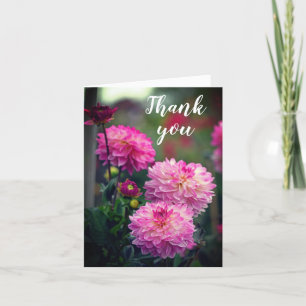 Pink and White Dahlia Flower Thank You Card