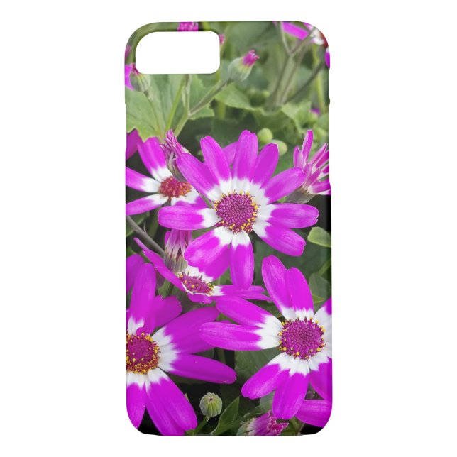 pink and white daisy Case-Mate iPhone case (Back)