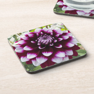 Pink and White Decorative Dahlia Floral Coaster