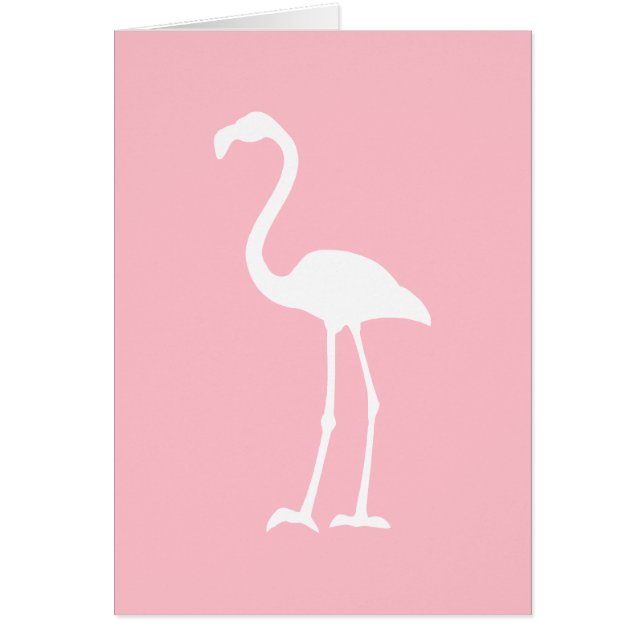 Pink and White Flamingo (Front)