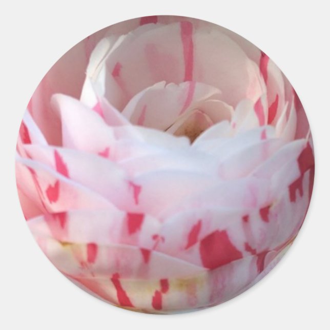 Pink and White Floral Classic Round Sticker (Front)