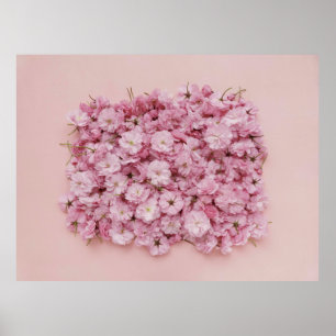 PINK AND WHITE FLOWER PETALS POSTER