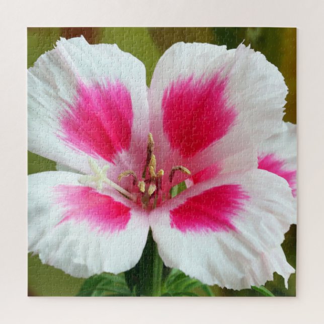 Pink and White Geranium Jigsaw Puzzle (Vertical)