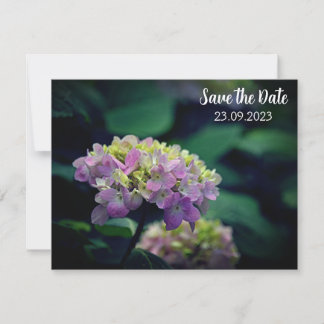 Pink and White Hydrangea Flower Save the Date Holiday Card