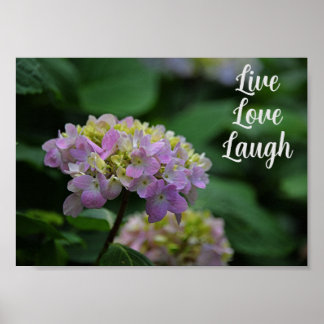 Pink and White Hydrangea Flowers Motivational  Poster