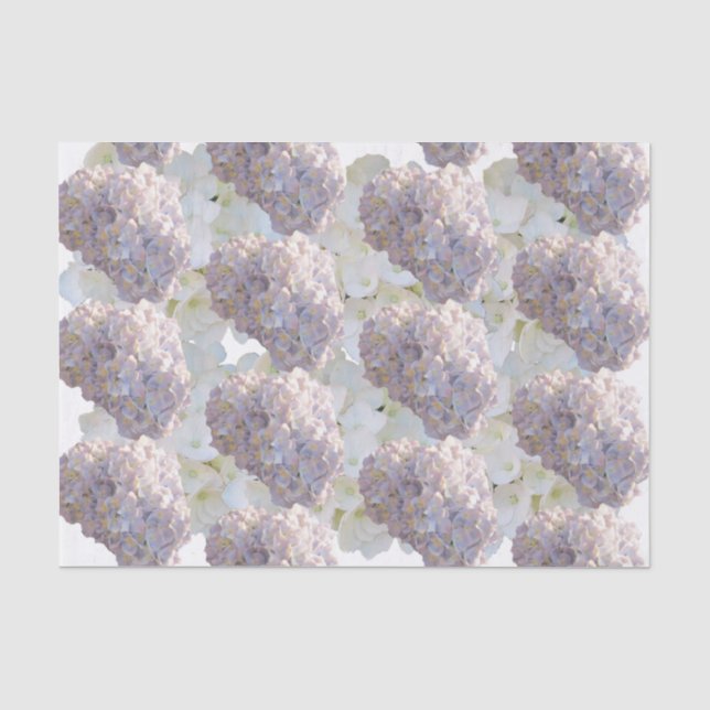 Pink and White Hydrangea Tissue Paper (Front)