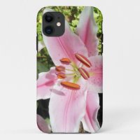 Pink and White Lily Flower