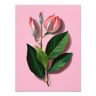 Pink and White Magnolia Flower Photo Print