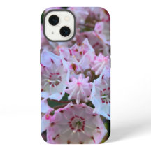 Pink and White Mountain Laurel Flowers