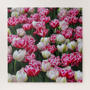 Pink and white parrot tulips jigsaw puzzle