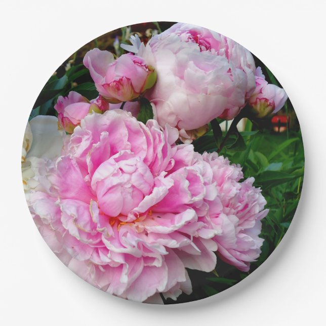Pink and White Peonies  Paper Plate (Front)