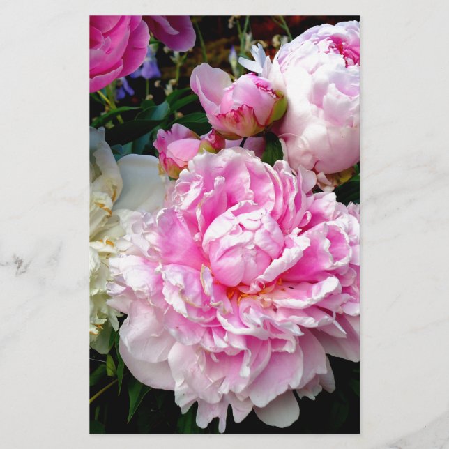 Pink and White Peonies Stationery (Front)