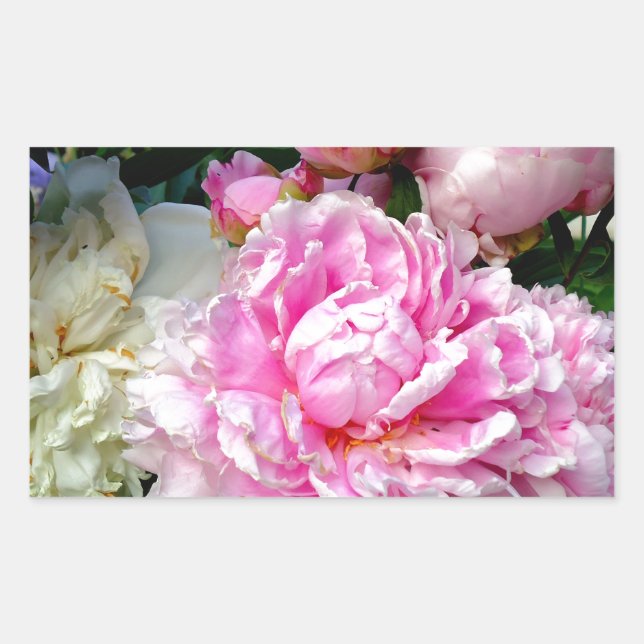 Pink and White Peonies Sticker (Front)