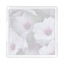 Pink And White Petunias 