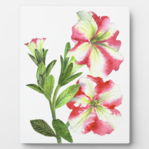 Pink and White Petunias Floral Art Plaque