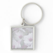 Pink And White Petunias 