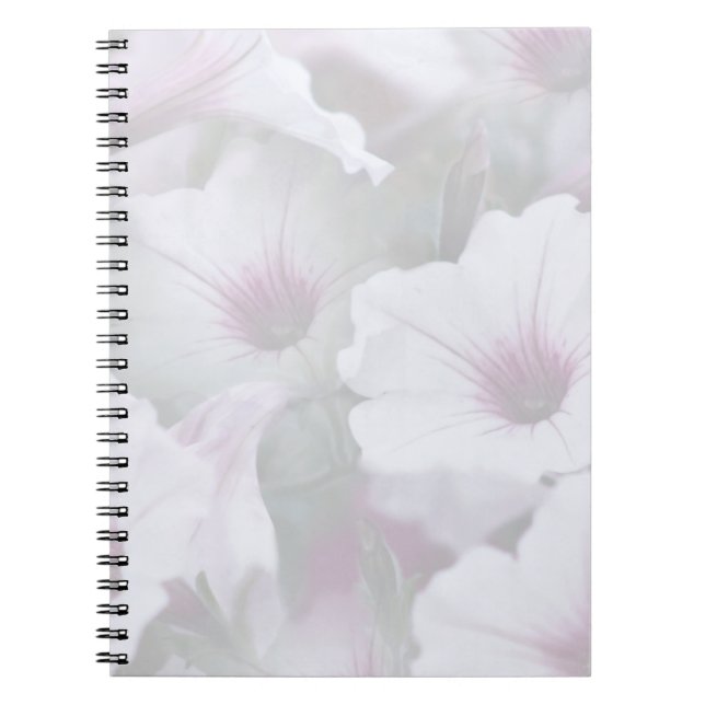Pink And White Petunias  Notebook (Front)