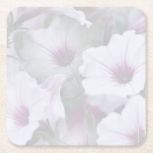 Pink And White Petunias 