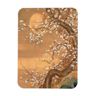 Pink and White Plum Blossoms in Moonlight, Shizan  Magnet