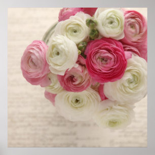 pink and white ranunculus on script poster