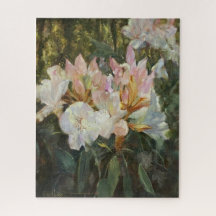 Pink and White Rhododendron Deep Green Foliage
