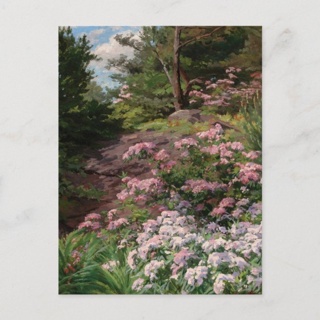 Pink and White Rhododendron | Thomas Allen, Jr. Postcard (Front)