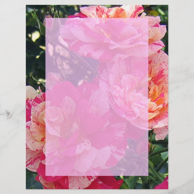 Pink and White Roses Garden Art Paper (Front)