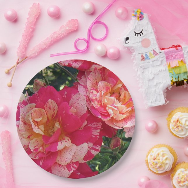Pink and White Striped Roses Floral Art Paper Plate (Party)
