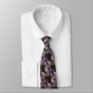 Pink and White Sweet Pea Flowers Tie