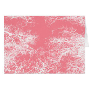 Pink and white trees
