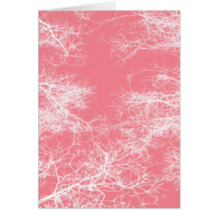Pink and white trees