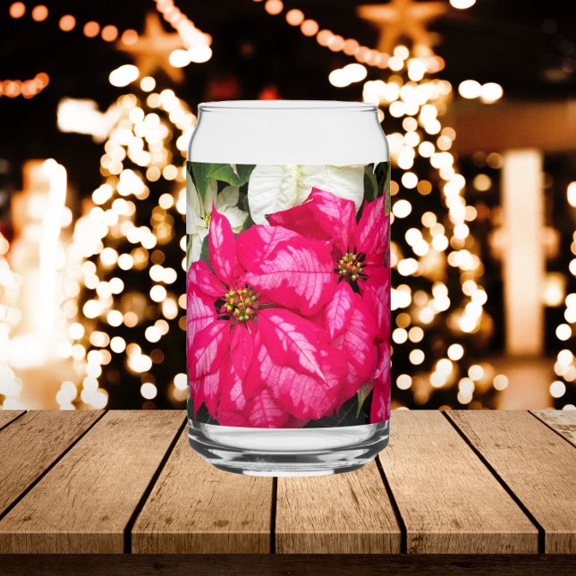 Pink and White Variegee Poinsettias Holiday (In Situ Holidays)