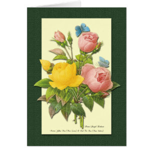 Pink and Yellow Botanical Roses Art Card